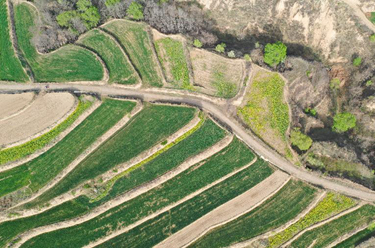 春日大地&ldquo;調(diào)色板&rdquo;