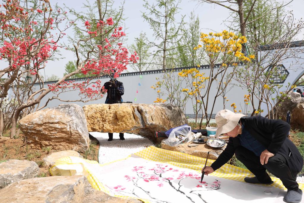 中國&middot;淮安精品盆景展拉開帷幕