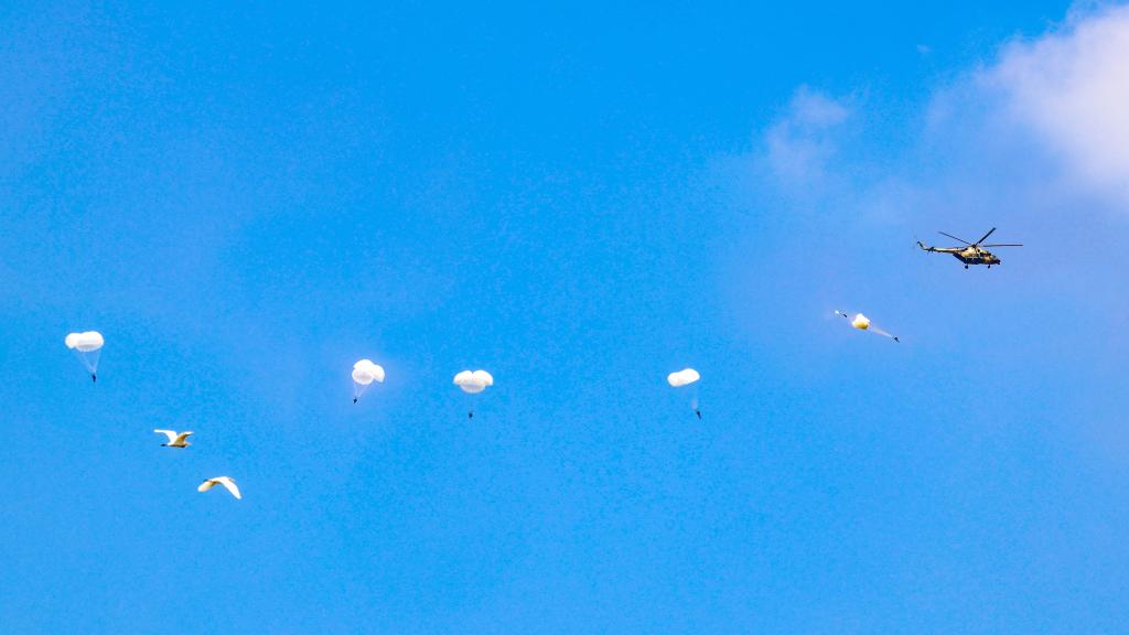 霹靂尖兵淬煉勝戰(zhàn)刀鋒&mdash;&mdash;記新征程上的&ldquo;南京路上好八連&rdquo;