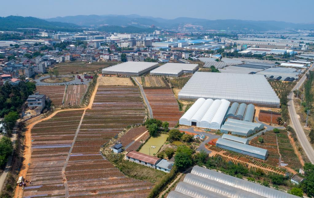 四季中國丨春日里 他們?yōu)樵颇匣ɑ苜x予&ldquo;芯&rdquo;動能