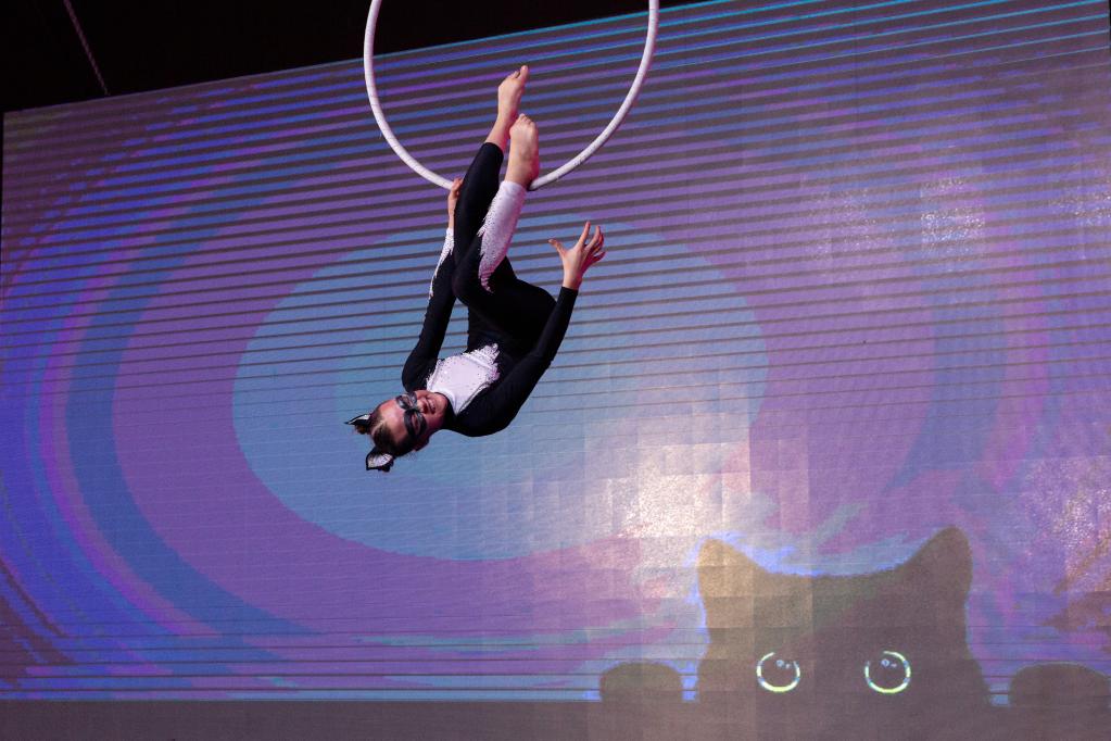 俄羅斯圣彼得堡舉辦&ldquo;友誼&rdquo;俄中馬戲藝術節(jié)