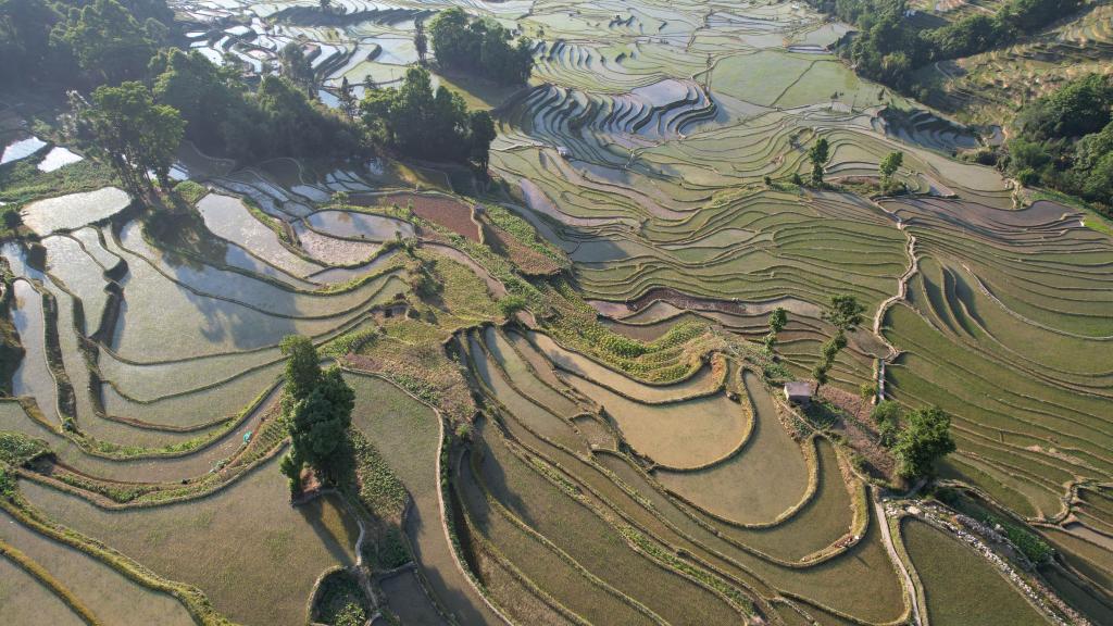 云上梯田灌溉記&mdash;&mdash;探尋世界文化遺產哈尼梯田&ldquo;水密碼&rdquo;