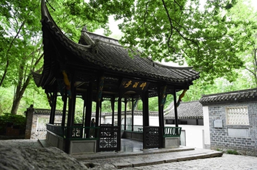 當博物館的&ldquo;風景&rdquo;照進現實