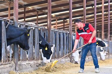 新華全媒+&middot;追著花兒看新疆｜新疆伊犁：全產業(yè)鏈布局賦能奶業(yè)振興