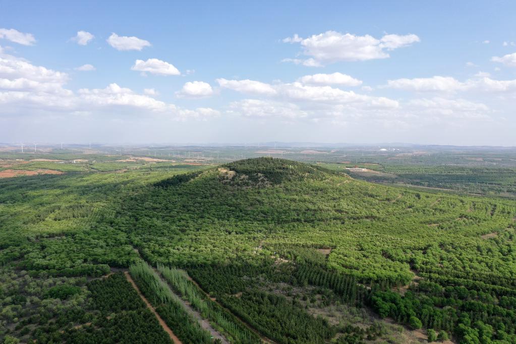 空中之眼瞰&ldquo;塞上綠洲&rdquo;