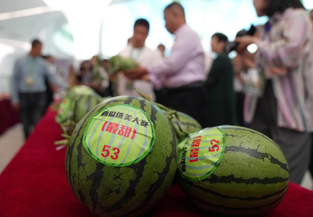 河北新樂舉行&ldquo;西甜瓜選美大賽&rdquo;