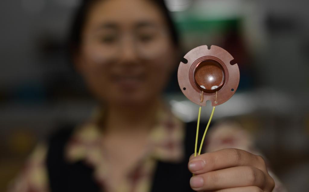 貴州鳳岡:發(fā)展“專精特新”企業(yè) 壯大縣域經(jīng)濟