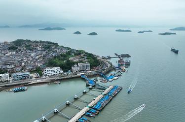 “千萬工程”調(diào)研行丨浙江寧海:美麗半島小鎮(zhèn)盛開“美麗經(jīng)濟(jì)”