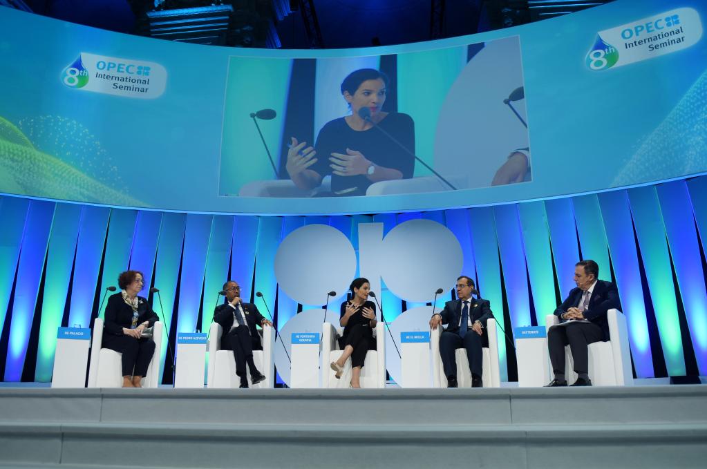 歐佩克國際研討會：代表呼吁能源轉型應可持續和有包容性