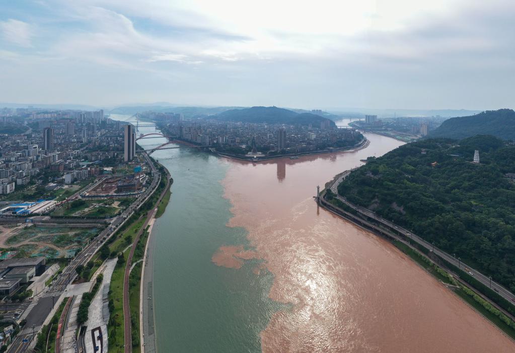 新時代中國調(diào)研行&middot;長江篇丨&ldquo;綠動&rdquo;宜賓：萬里長江第一城