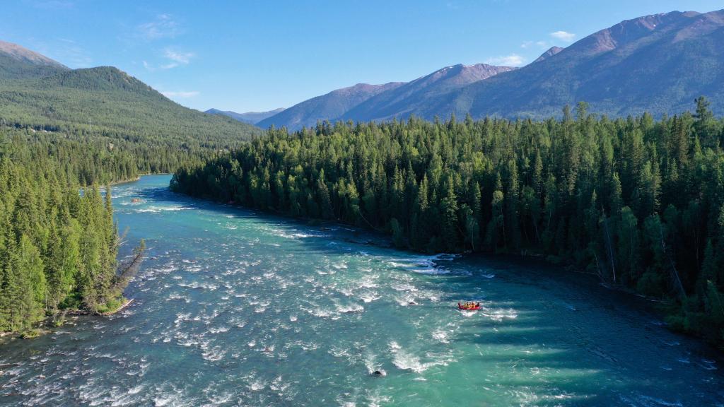 新疆喀納斯景區進入旅游黃金期