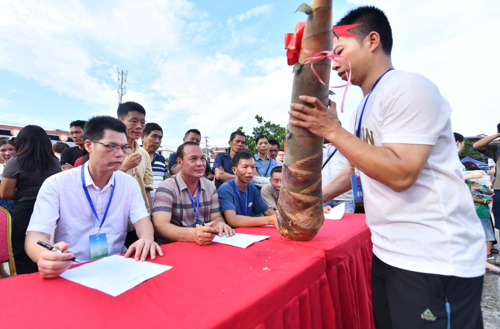 廣西柳城：&ldquo;筍王&rdquo;爭霸