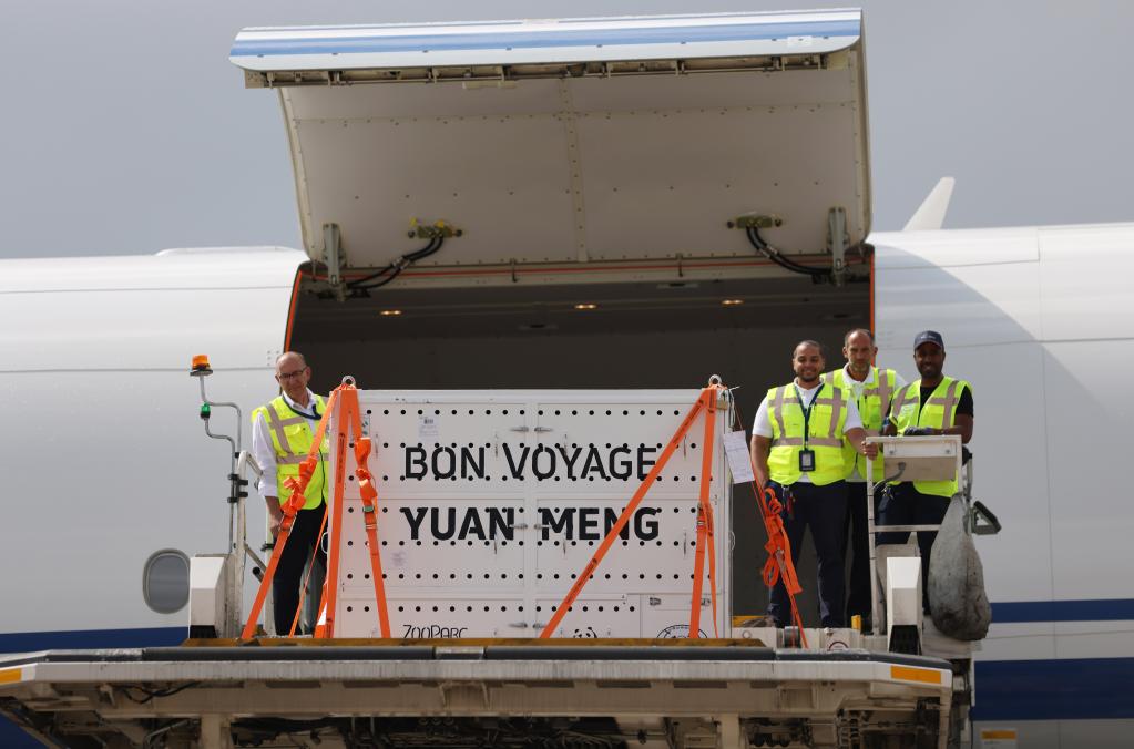 法國：送別&ldquo;圓夢&rdquo;