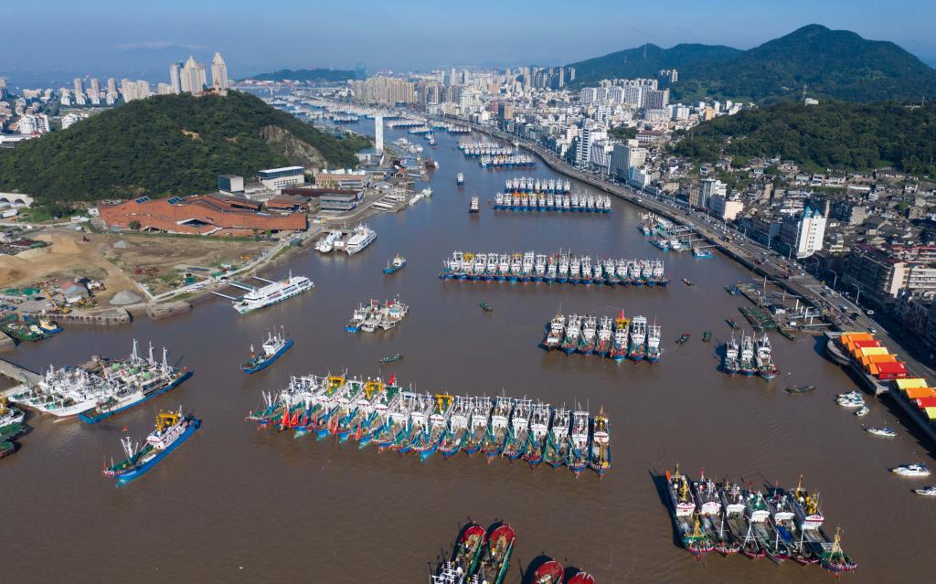 新華全媒+丨東海&ldquo;小開漁&rdquo; 千帆出海忙