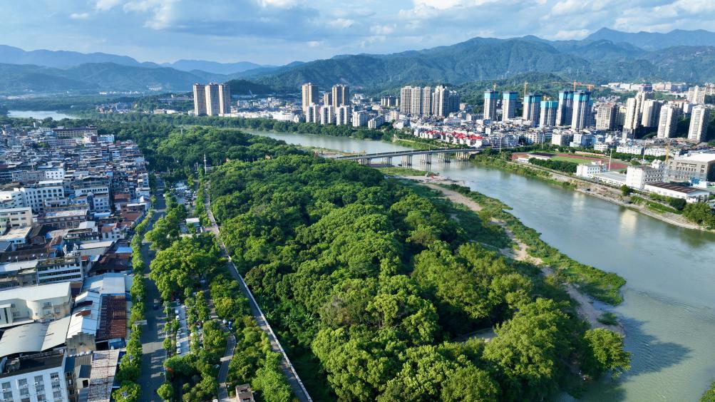 福建：古樹&ldquo;老有所依&rdquo; 留住鄉(xiāng)愁根脈