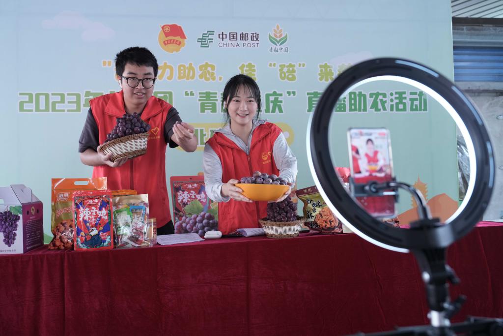 &ldquo;青耘重慶&rdquo;直播助農(nóng)在田間