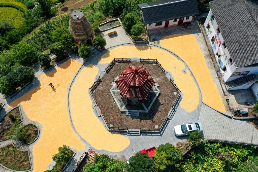 騰地&ldquo;曬秋&rdquo;確保顆粒歸倉