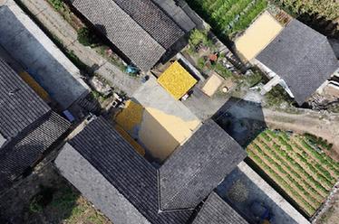 山村&ldquo;曬秋&rdquo;