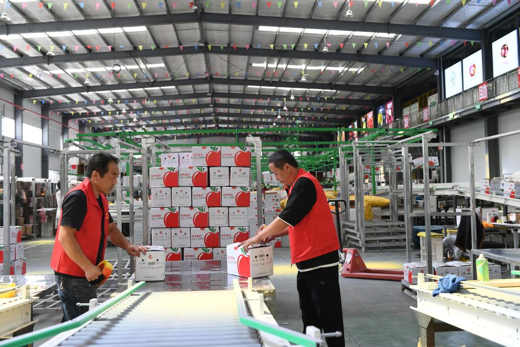 高質量發展調研行丨陜西延安：&ldquo;小蘋果&rdquo;做成&ldquo;大產業&rdquo;