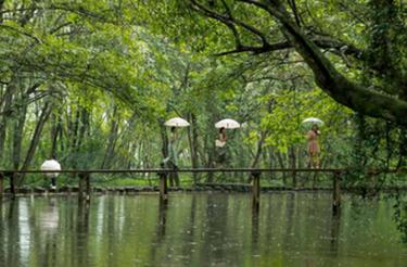 美麗中國丨&ldquo;醉&rdquo;美徽州&ldquo;畫&rdquo;旅游