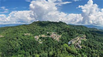 &ldquo;普洱景邁山古茶林文化景觀&rdquo;成功申遺