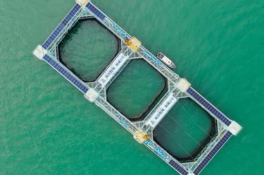 &ldquo;游牧&rdquo;深藍&mdash;&mdash;養魚百萬斤的巨無霸&ldquo;糧倉&rdquo;助力向海圖強