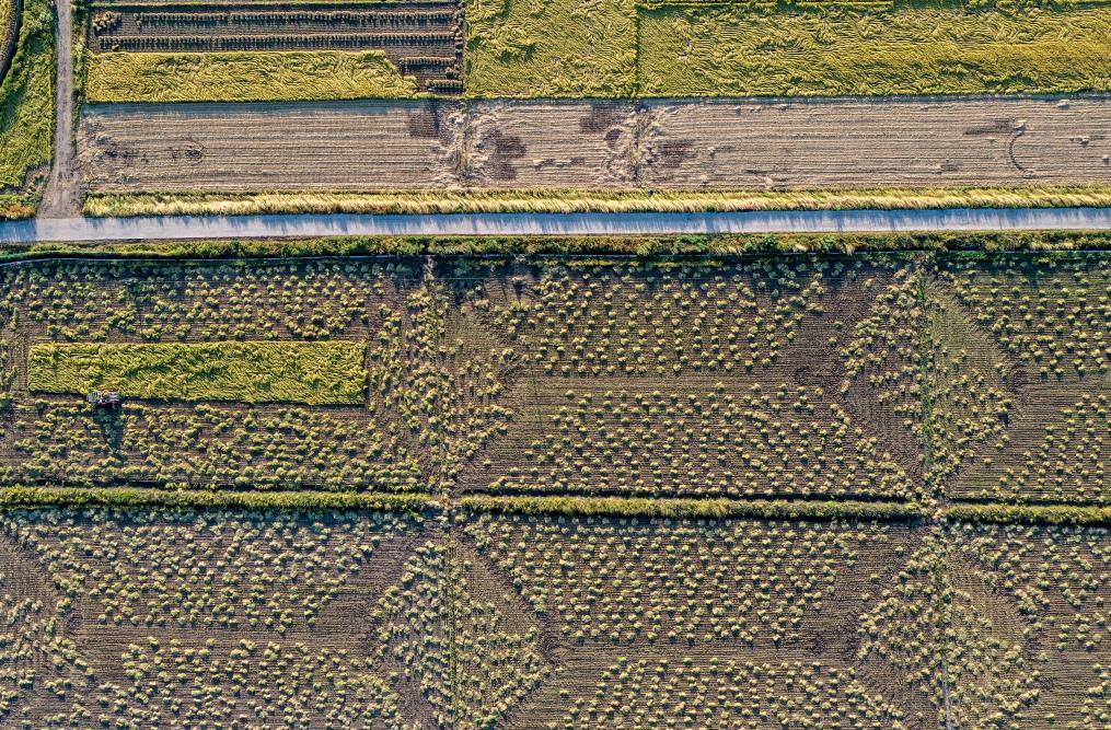 農(nóng)機(jī)入田 農(nóng)技下鄉(xiāng)&mdash;&mdash;吉林力爭(zhēng)當(dāng)好國(guó)家糧食穩(wěn)產(chǎn)保供&ldquo;壓艙石&rdquo;