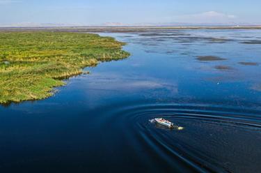 新時(shí)代中國(guó)調(diào)研行&middot;黃河篇|守望烏梁素海的大學(xué)生們