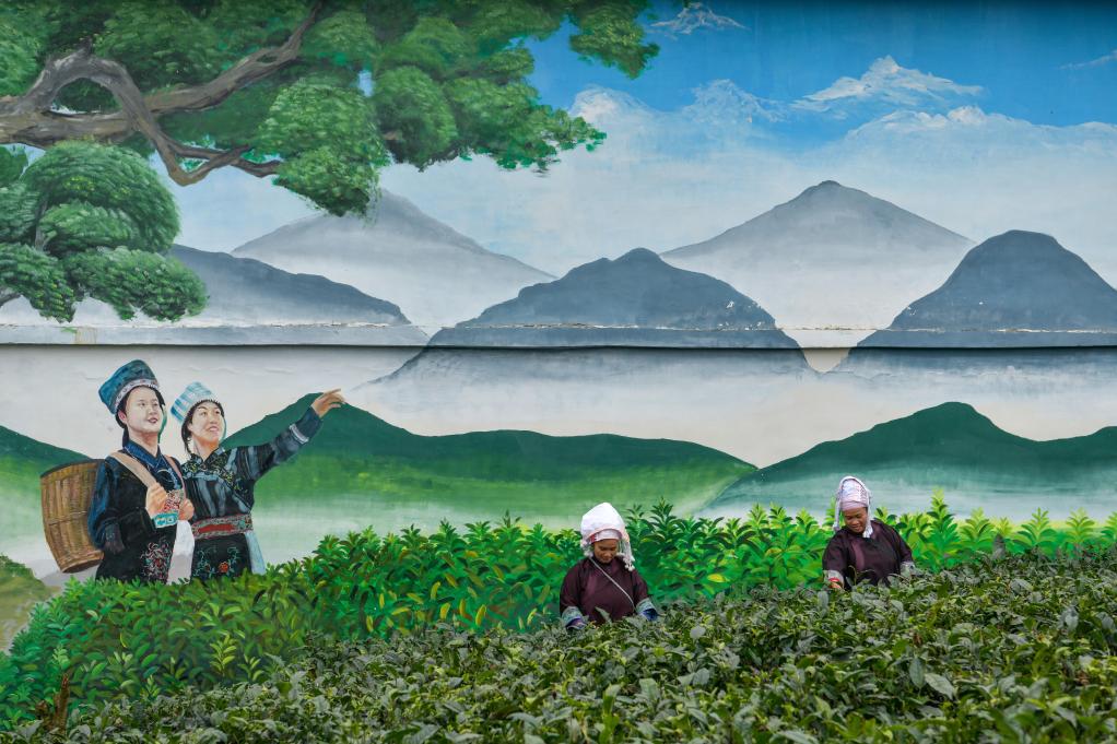 鏡觀中國丨全面深化改革十年間&middot;鄉(xiāng)村振興新面貌