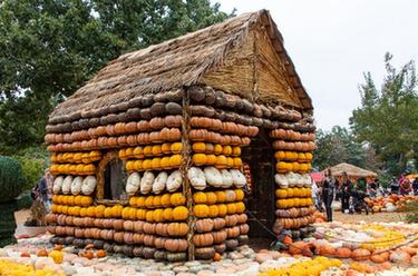 美國達拉斯十萬南瓜堆成&ldquo;南瓜小鎮&rdquo;