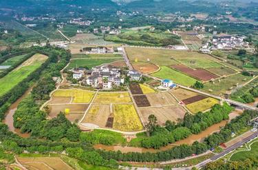 &ldquo;藝術鄉建&rdquo;為鄉村振興注入新活力