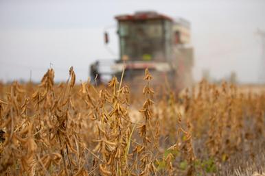 又是一年好&ldquo;豐景&rdquo;