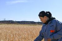 邊城琿春的巾幗&ldquo;新農人&rdquo;