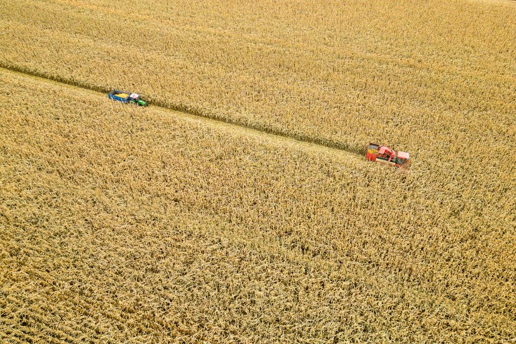 飛閱產糧第一大省黑龍江秋收&ldquo;豐&rdquo;景