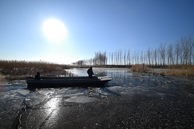 光影一瞥：白洋淀上的&ldquo;破冰&rdquo;美景