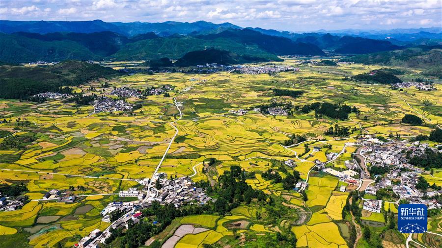 （新華全媒頭條&middot;圖文互動）（7）從百年黨史汲取不懈奮斗的力量&mdash;&mdash;與會同志談黨的十九屆六中全會精神