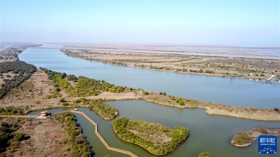 （新華全媒頭條&middot;圖文互動）（4）鯤鵬展翅九萬里&mdash;&mdash;以習近平同志為核心的黨中央引領中華民族邁向偉大復興述評
