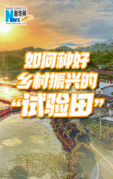 如何种好乡村振兴的“试验田”