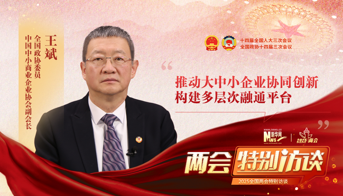 王斌委员：推动大中小企业协同创新 构建多层次融通平台 