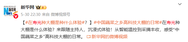 在寿光种大棚是种什么体验