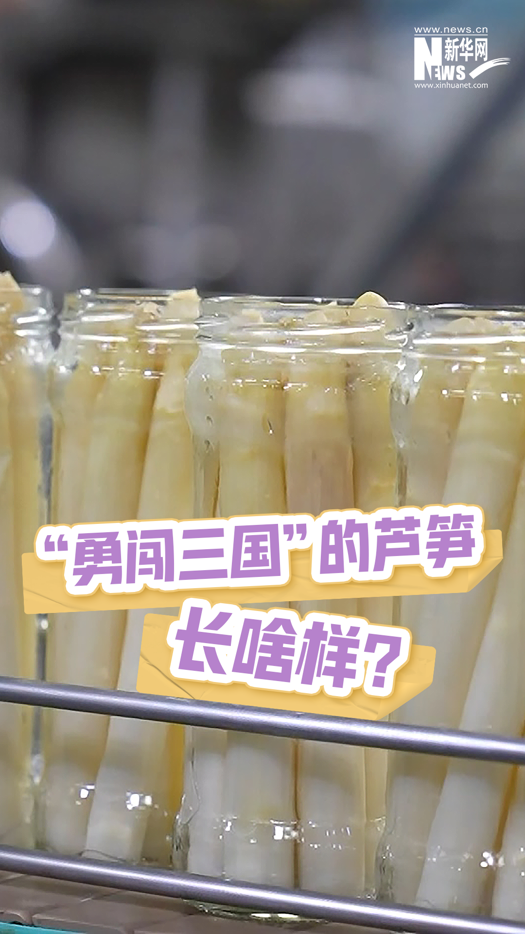 “勇闯三国”的芦笋长啥样？