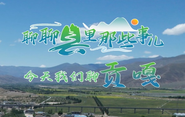 聊聊县里那些事儿，今天我们聊贡嘎