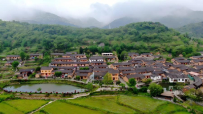 學(xué)習(xí)進(jìn)行時(shí)丨習(xí)近平總書記關(guān)心推動(dòng)老區(qū)發(fā)展振興的故事