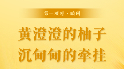 第一觀察·瞬間丨黃澄澄的柚子，沉甸甸的牽掛