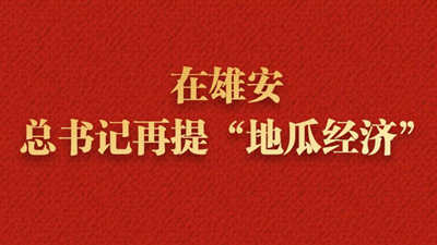 近鏡頭丨在雄安，總書記再提“地瓜經濟”