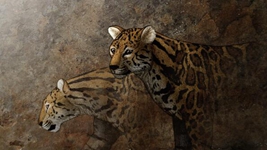 遠古發現丨追虎尋源之一:虎從何來?