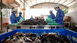 中醫藥發揮獨特優勢&ldquo;防、治、康&rdquo;全程助力抗疫