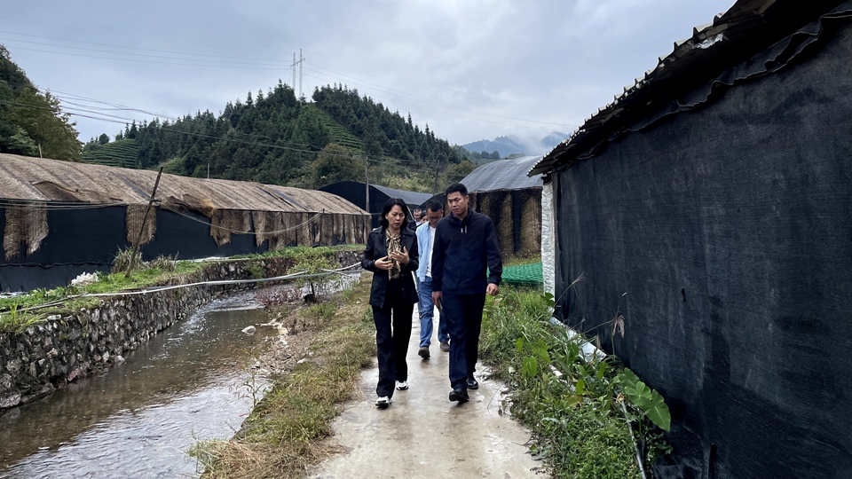 楊遠艷:到群眾中去、講群眾的話、想群眾的事