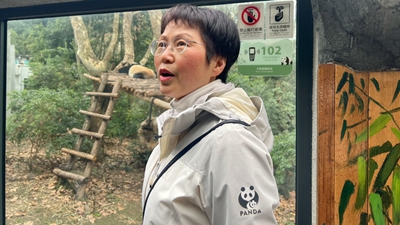 侯蓉:以科研精神確保建議議案質量