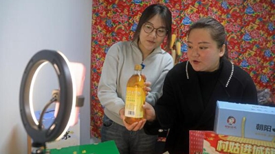 王穎:做 “有情懷,會妙招,富鄉親”新時代返鄉新農人